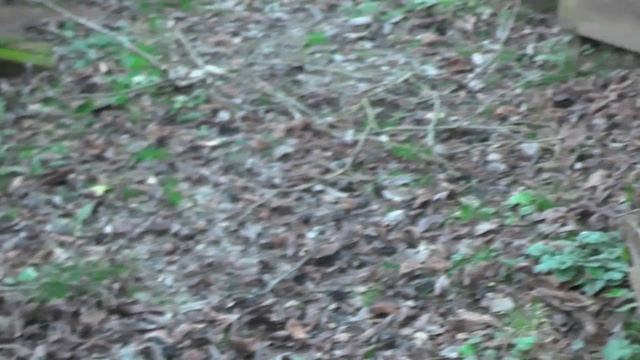 Геленджик последняя поездка на дачу ст Пищевик село Возрождение 7 декабря 2021 смотреть онлайн