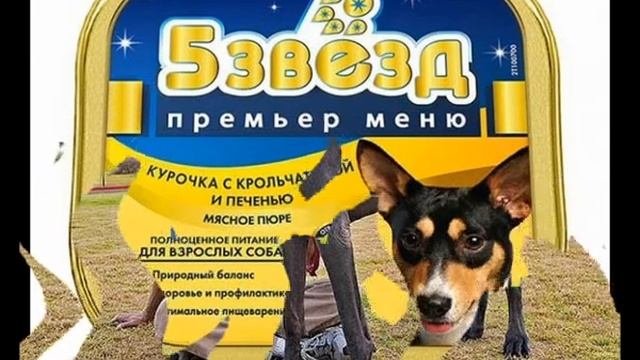 корм для кастрированных собак