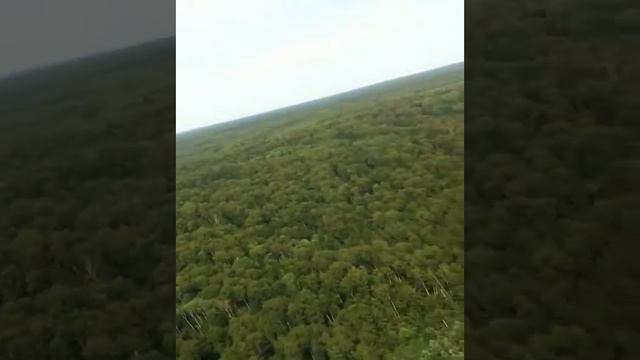 вертолётная прогулка смотреть онлайн