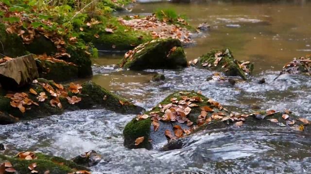 КАК НЕ ТЕРЯТЬ ВЕРУ В СЕБЯ ПОСЛЕ НЕУДАЧ. смотреть онлайн