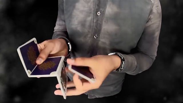 Одно из популярных тогда видео предатора (Predator