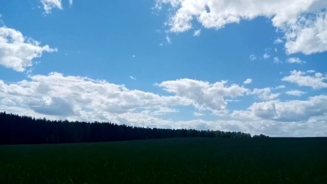 Первый полёт ЛМ-19. С чего всё начиналось...