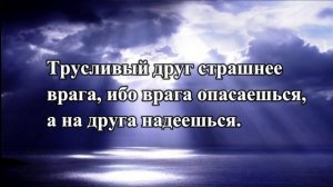 Цитаты Про Дружбу Со Смыслом. Умные Мысли