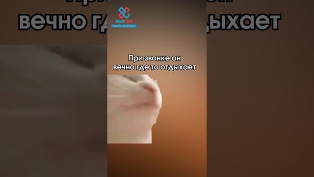 Виды партнеров в разговоре по телефону