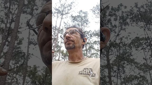 An introduction to Lisa's Ride смотреть онлайн