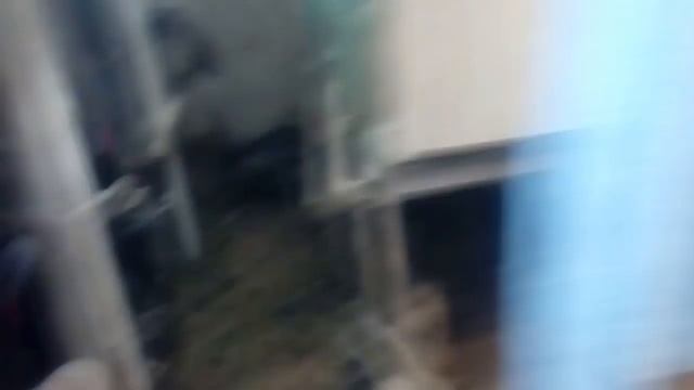 Как работает ВЫТЯЖКА в птичнике моём смотреть онлайн