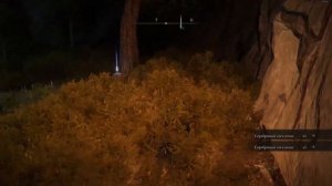 Elden Ring гайд ГДЕ НАЙТИ сет белого тростника