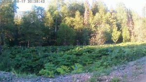 Петарда DUM BUM 50 дум бум 50 взрыв как взрывается