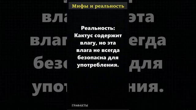 Кактус с водой - мифы и реальность