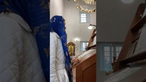 Милость Мира (Касторского)