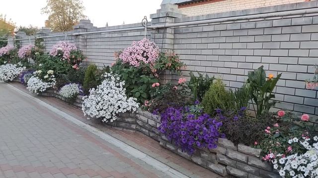 ОБЗОР ДЛИННОГО ЦВЕТНИКА. СЕЗОН 2022.