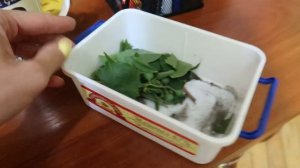 Кира приехала / У меня перемены / ВЛОГ Маричка Лайф