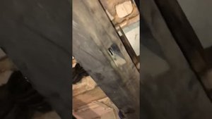 Пороги пассат б6