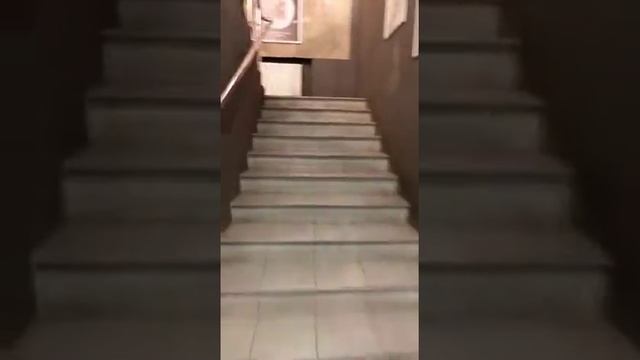 2  Москва, Декабристов ул  д 15с2 смотреть онлайн