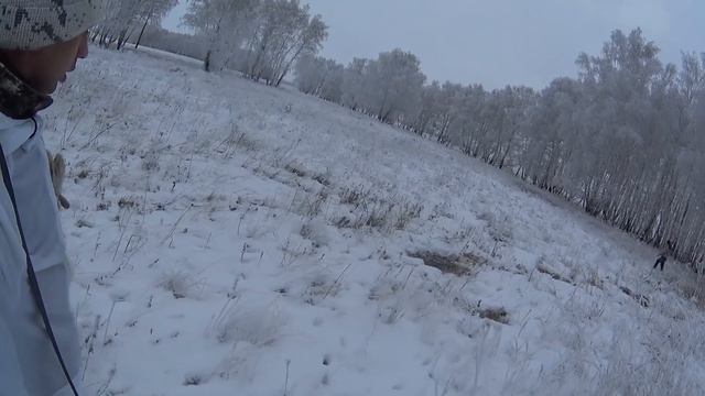 Очень много зайцев!!! Добыли двух русаков!!! смотреть онлайн