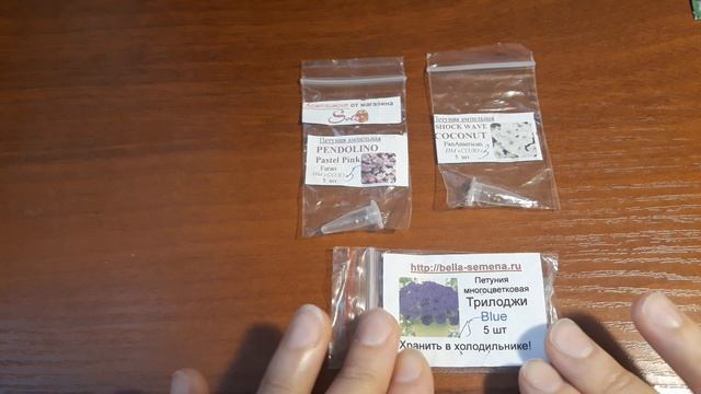 ПОЛНЫЙ ОБЗОР ПЕТУНИИ НА СЕЗОН 2021? - СЕМЕНА И ВЕГЕТАТИВКА ? смотреть онлайн