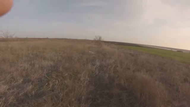 Работа по куропатке P-Beli Digal (Белый) смотреть онлайн