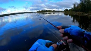 Бюджетный спиннинговый комплект от Daiwa Ninja.Рыбалка в  Ленинградской области#fishing #daiwa#окун