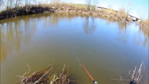 Черемшан рыбалка 2022