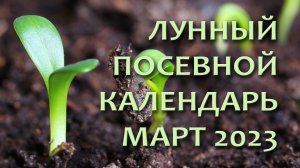 Лунный календарь садовода и огородника на март 2023