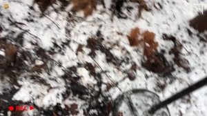 ПЕРВОЕ ЗОЛОТО ЗА ТРИ ГОДА! Открыл сезон 2022. Коп монет | Золотое Хобби