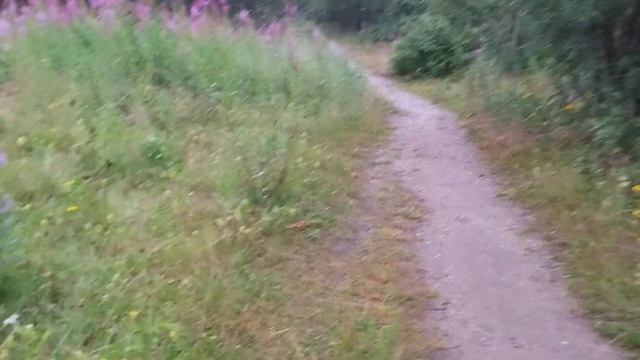 СОН l Лихие 90-е l Зарплата за оBощи l-Съезди заBтра обязательно за деньгами смотреть онлайн