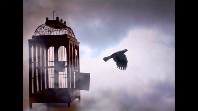 Last words (Isaac Gracie) - cover - by The Galactic Butterfly смотреть онлайн