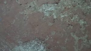 Как снять старую краску