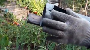Приспособление для снятия яблок с яблони