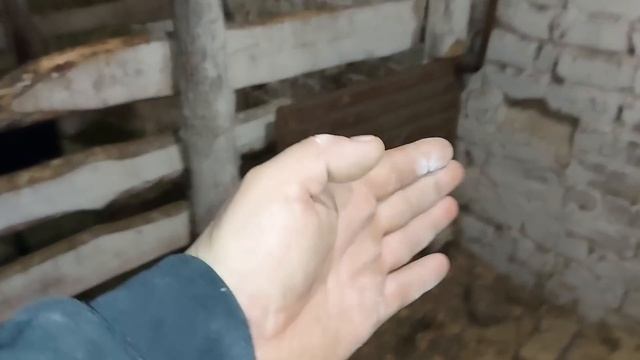 Вхожу в доверие. смотреть онлайн