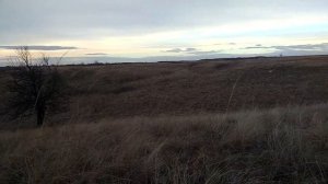 МИ -2023. Первая лиса. Охота на лису с манком.