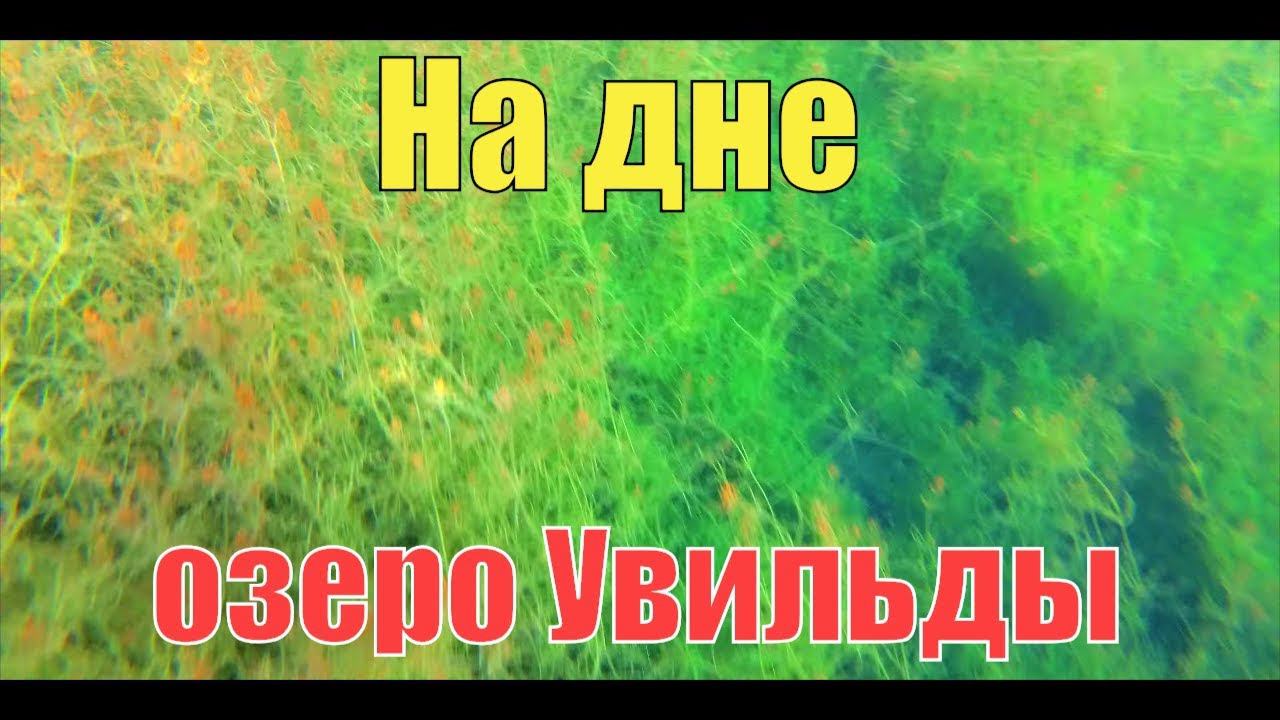 Водоросли и рыбки на дне под водой на озере Увильды