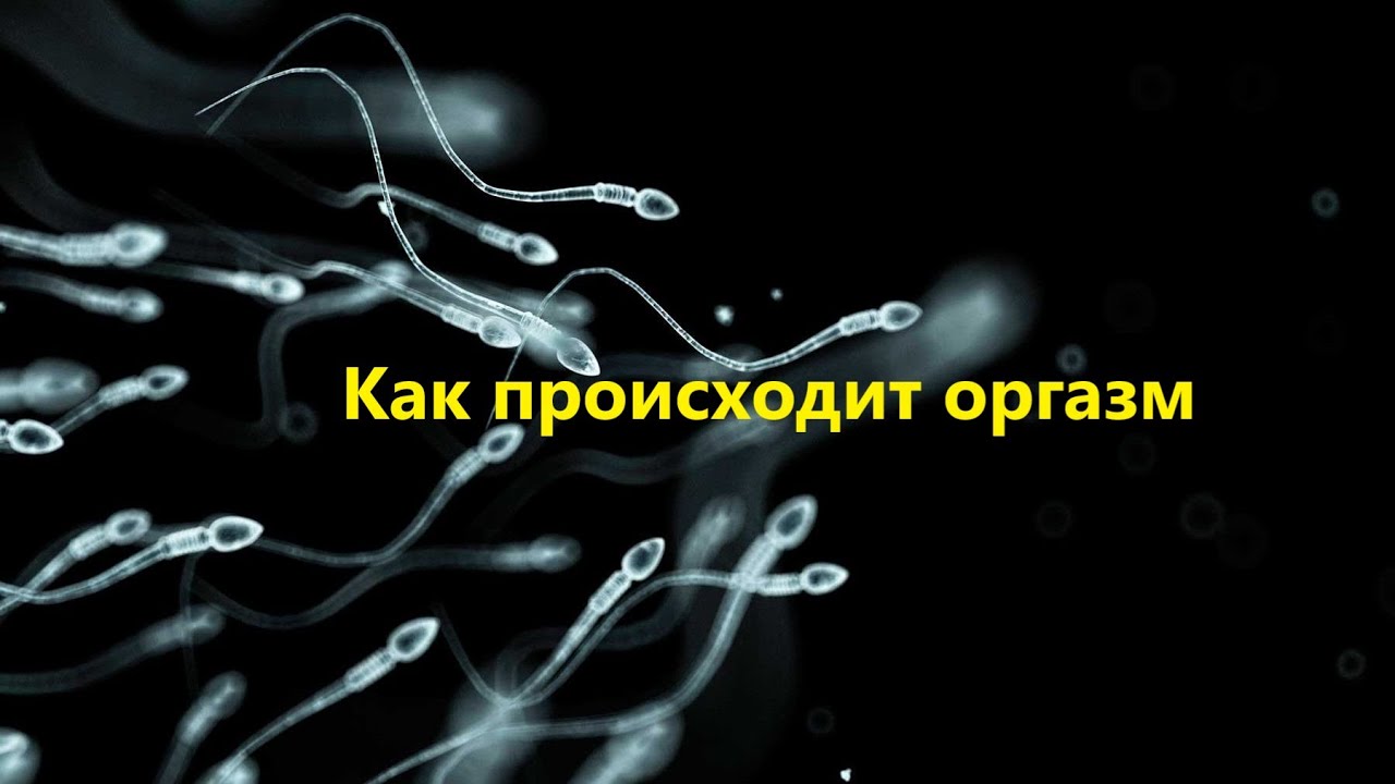 Эякуляция и оргазм.mp4
