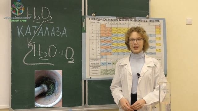 Овчарова Екатерина ученица 9-1 класса.mp4