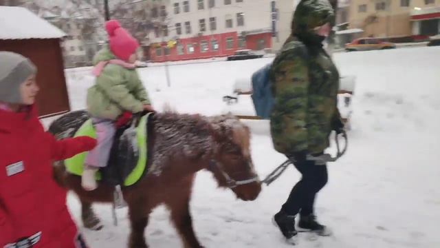 Катание на пони смотреть онлайн