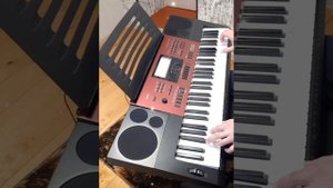 Любительское Sadeness на синтезаторе casio ctk-6250