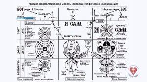 ОПЫТ ДУХОВНОЙ ЖИЗНИ. По трудам св.Феофана Затворника. Часть 5.