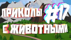 Приколы с животными | Приколы угары | Засмеялся подписался #17
