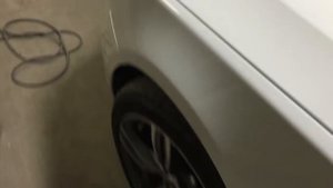 ДЕНЬ ПЕРЕКУПА В АМЕРИКЕ