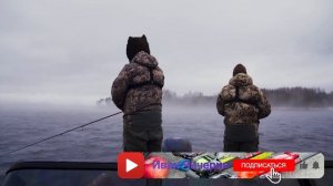 Калининская АЭС и ее обитатели. Тиляпия и Канальный сомик на Микроджиг