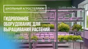 Школьный АГРОстеллаж для создания профпроб в детском саде, школе или университете.