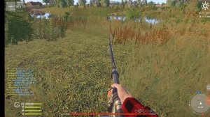 Синяя белуга 1000кг,мировой рекорд. Рр4.