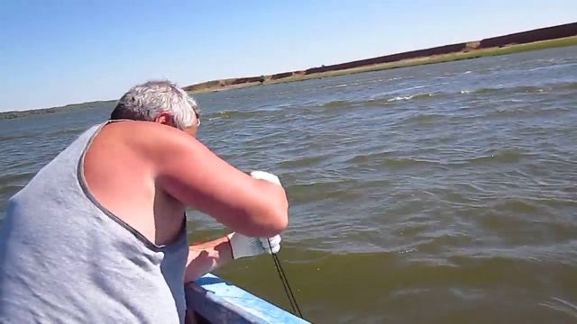 Ловля сома на Волге смотреть онлайн