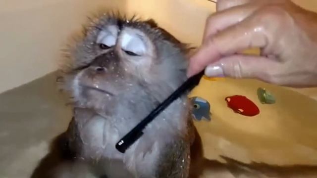 Приглашение на мастер класс Любови Черемисиной