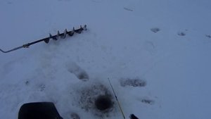 Зимняя рыбалка на Ладоге. Окунь. Кобона.