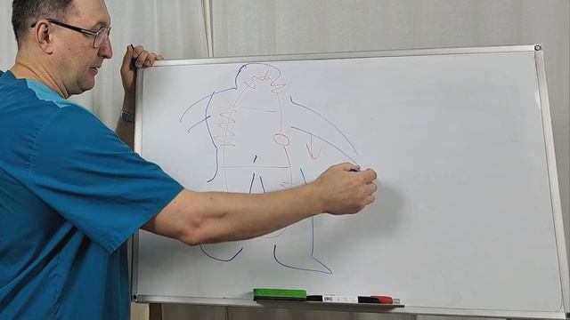 Почему мерзнут ноги смотреть онлайн