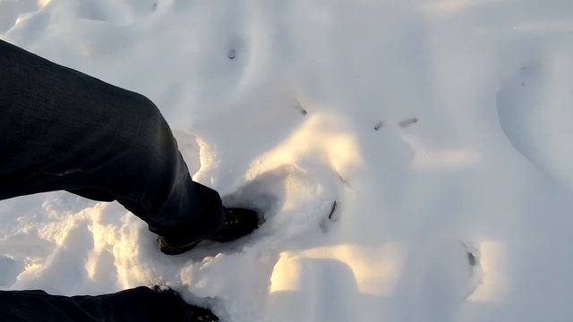 ??Виноград замерзает. Морозы -25 С. Виноград не Укрыт! Как спасти Виноградную лозу? смотреть онлайн