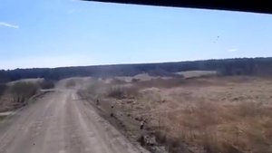 Большая Ерзовка Свердловской обл.