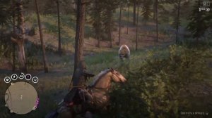МЕДВЕДЬ ГОРБАТЫЙ ДУХ | RDO LEGENDARY BEAR #rdo