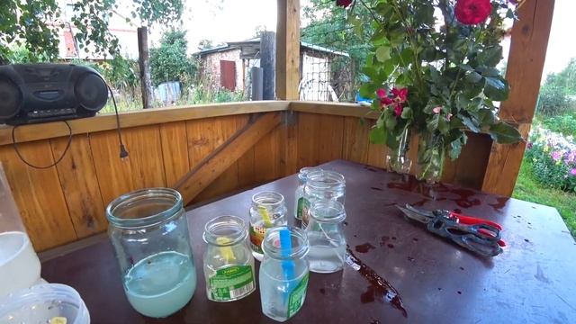 136. Дачный блог 24-25.07.2022г. Собираю малину и черенкую все подряд.